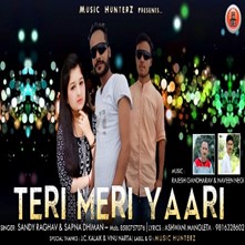 Teri Meri Yaari - Pahari Song